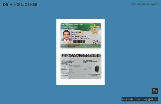 Beispiel für einen Führerschein aus dem mexikanischen Bundesstaat Yucatán